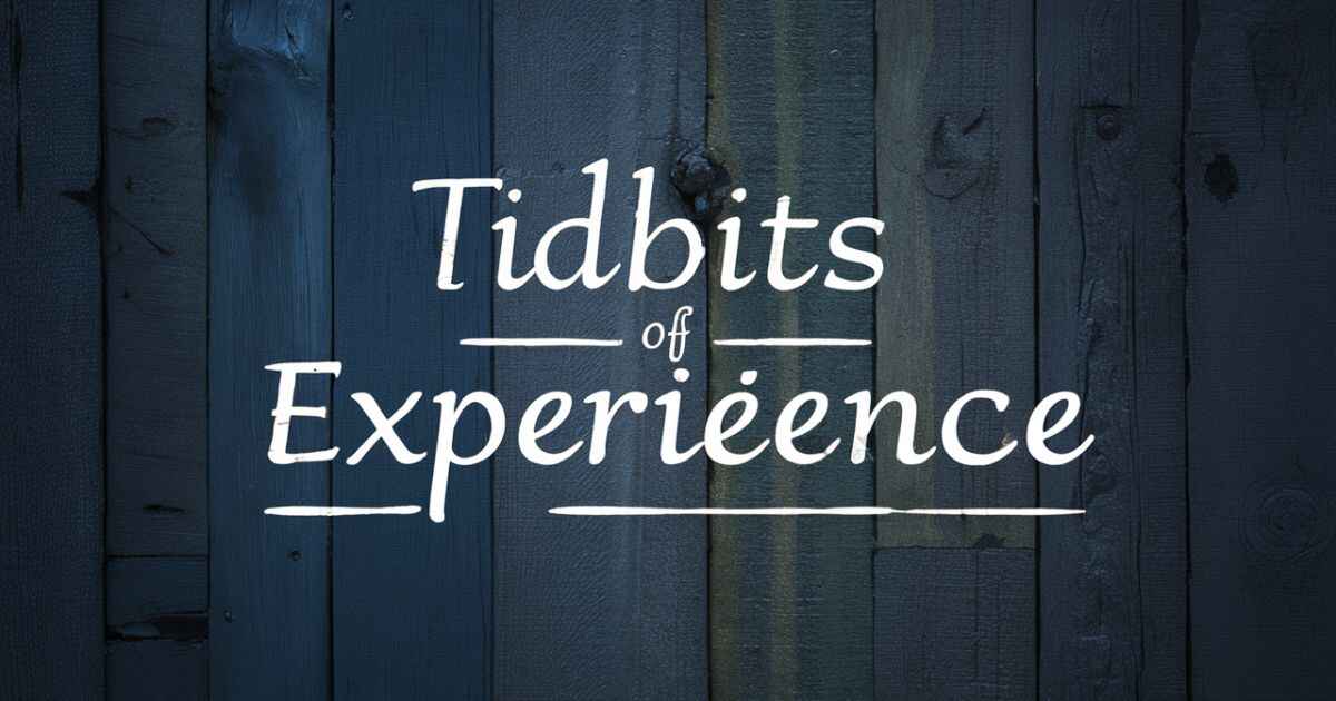 Tidbits of Experience