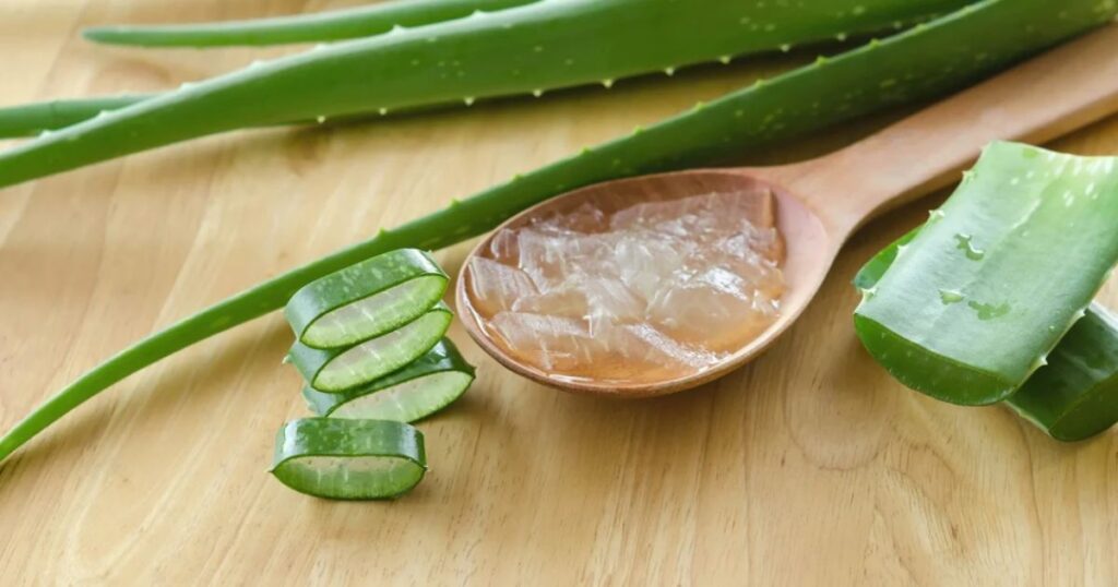 Aloe-Vera-Gel